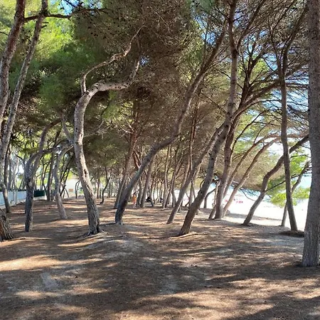 Cas Caminer Alcudia (Mallorca)
